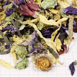 JBL Schildkrötenfutter Proterra Florsil 250 g