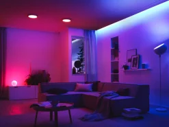 Paulmann Smart Home Zigbee MaxLED Controller weiß, grau